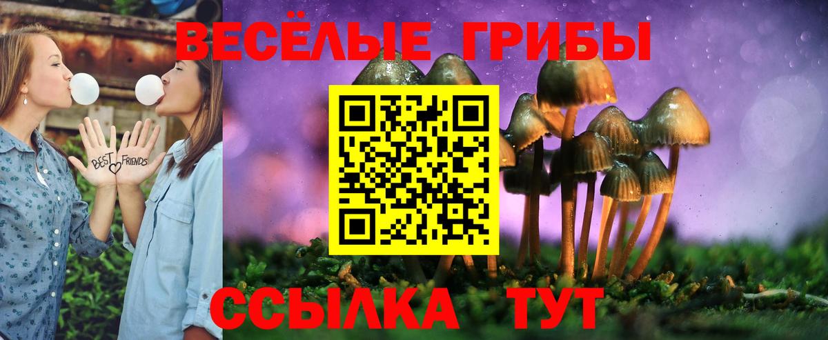 Джанкой  Псилоцибиновые грибы Psilocybine cubensis  Псилоцибиновые грибы GOLDEN TEACHER  Вход с VPN 